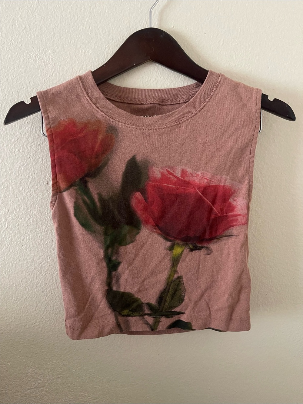 silence + noise Rose Graphic Crop Tank